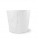 Fuscelle ricotta